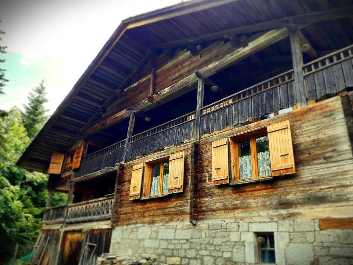 Lachat Appartement En Chalet Typique Ле-Гран-Борнан Экстерьер фото