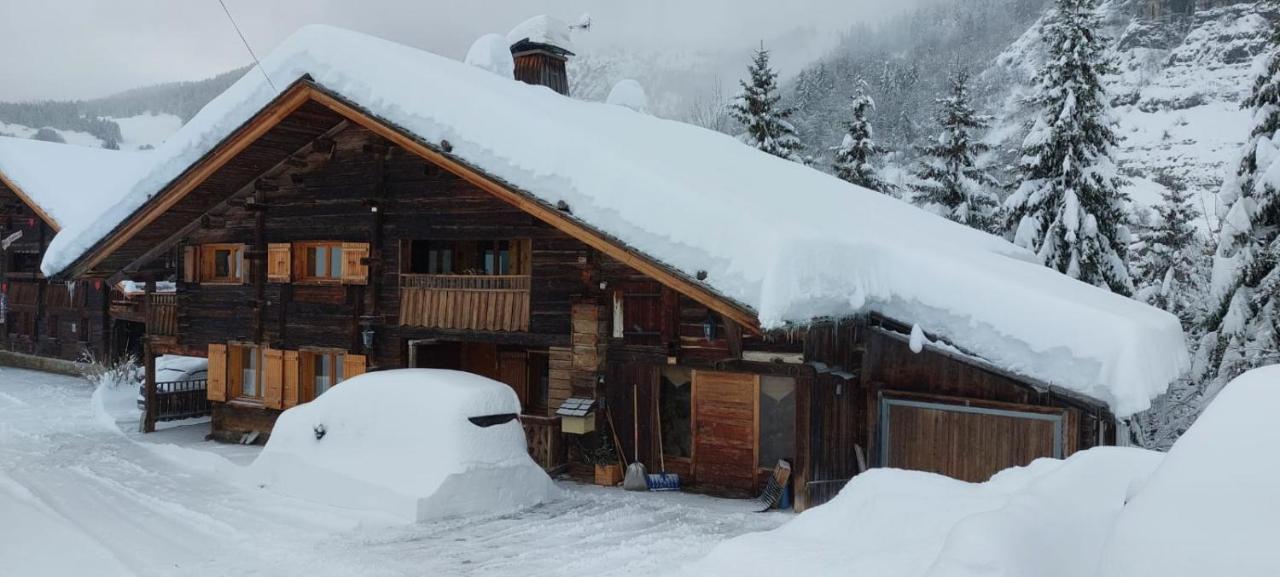 Lachat Appartement En Chalet Typique Ле-Гран-Борнан Экстерьер фото